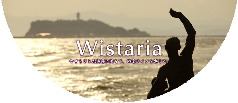 Wistaria04